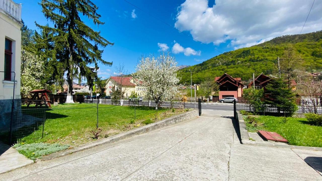 Hotel Vila Themis Călimăneşti Exterior foto