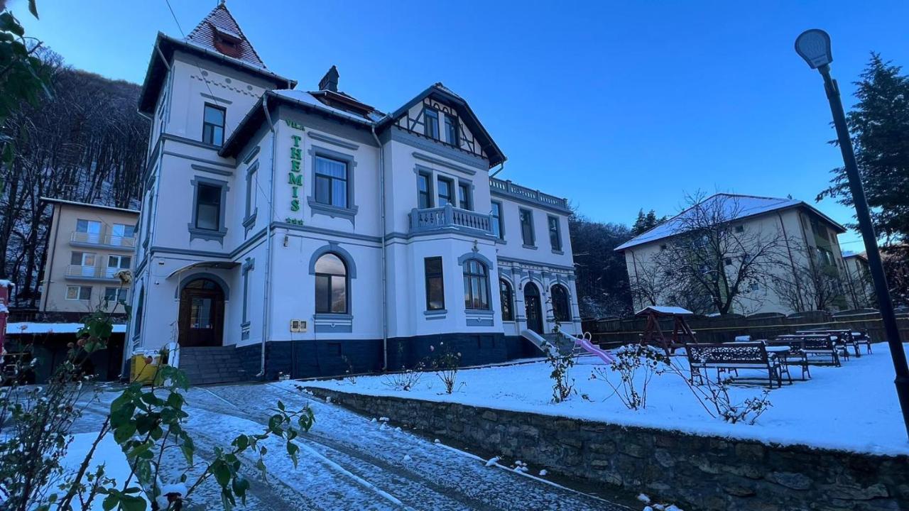 Hotel Vila Themis Călimăneşti Exterior foto