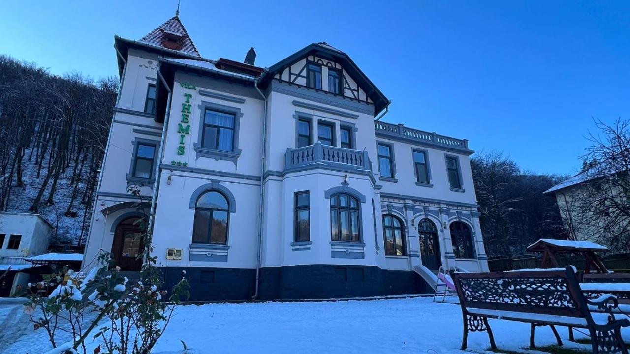 Hotel Vila Themis Călimăneşti Exterior foto