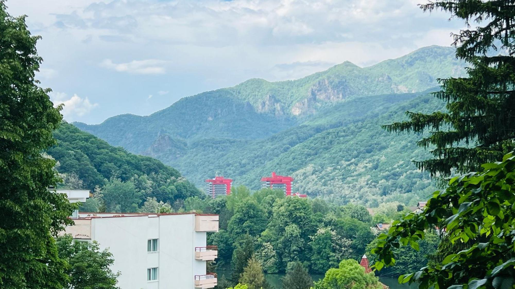 Hotel Vila Themis Călimăneşti Exterior foto