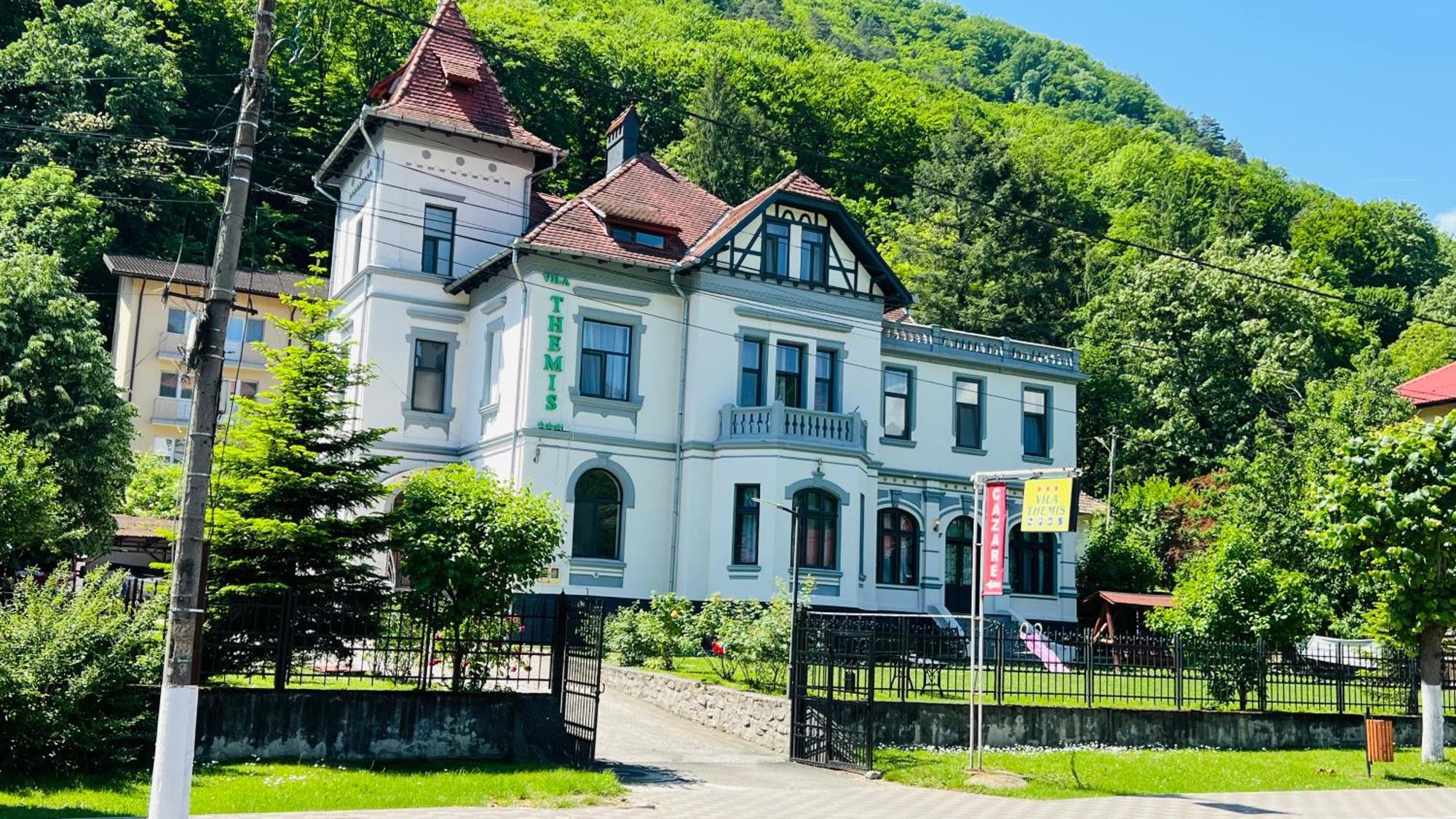 Hotel Vila Themis Călimăneşti Exterior foto